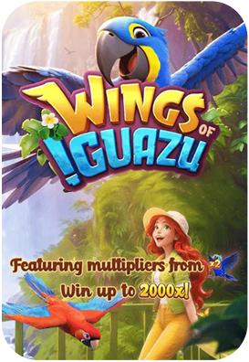 Wings of Iguazu
