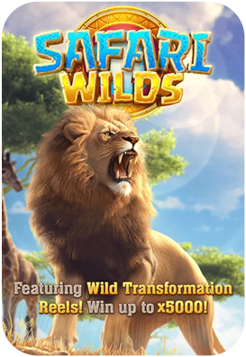 Safari Wilds